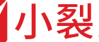 8.小裂变